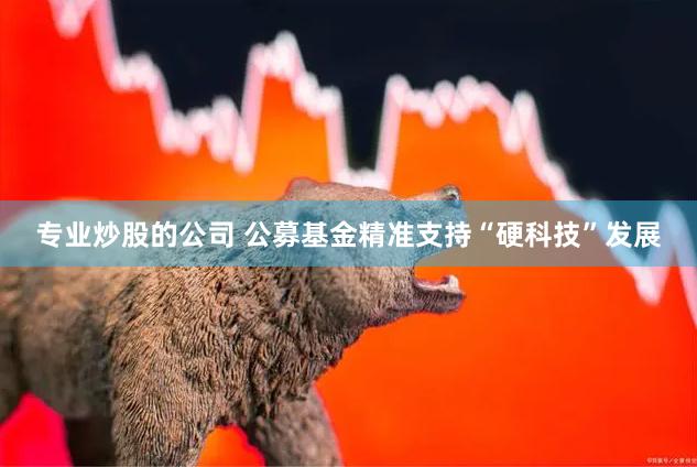 专业炒股的公司 公募基金精准支持“硬科技”发展