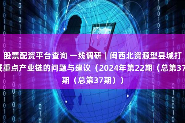 股票配资平台查询 一线调研｜闽西北资源型县域打造县域重点产业链的问题与建议（2024年第22期（总第37期））