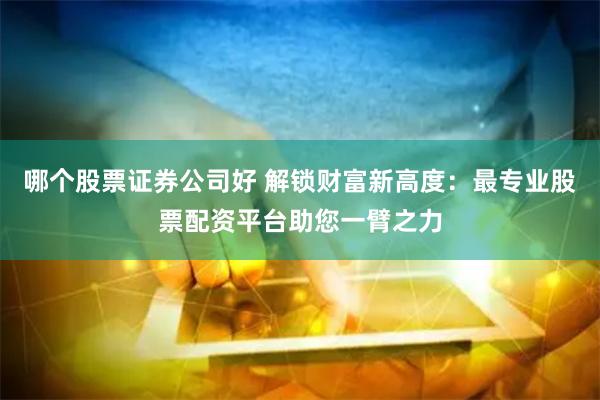 哪个股票证券公司好 解锁财富新高度：最专业股票配资平台助您一臂之力